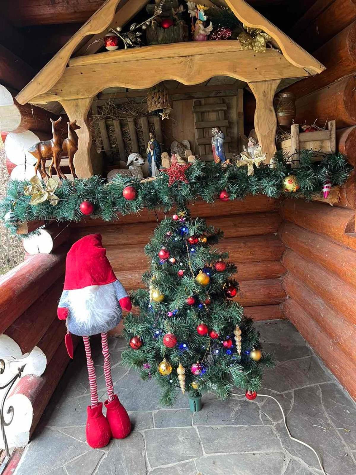Chalet в карпатах Huklyvyy